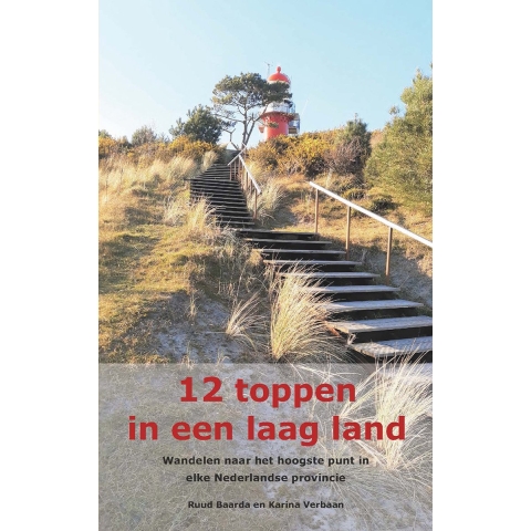 12 toppen in een laag land (Paperback)