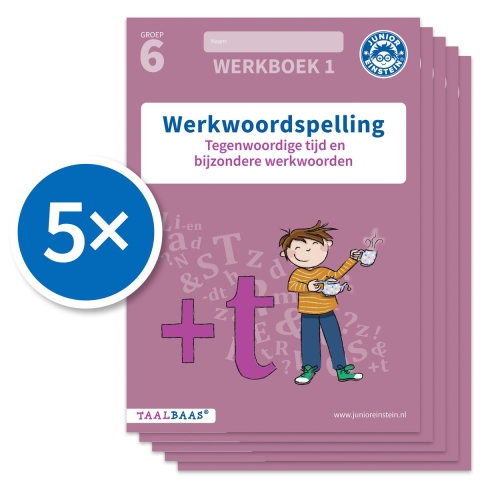Werkwoordspelling werkboek 1 groep 6 (Set van 5) (Paperback)