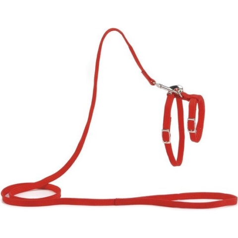 Beeztees - Kattentuigje - Nylon - Rood - 130 cm x 10 mm