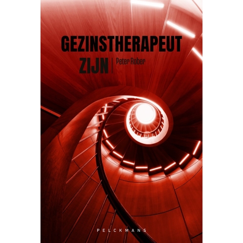 Gezinstherapeut zijn (Paperback)
