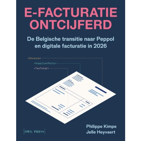 E-facturatie ontcijferd (Paperback)