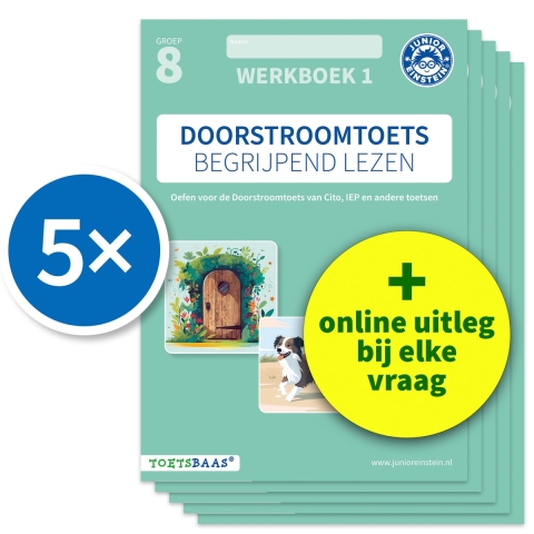 Doorstroomtoets Begrijpend lezen - Werkboek 1 + Online video-uitleg (set van 5) (Paperback)