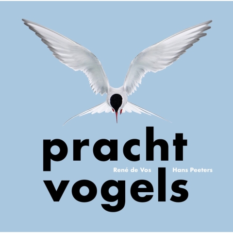 Prachtvogels (Hardback)