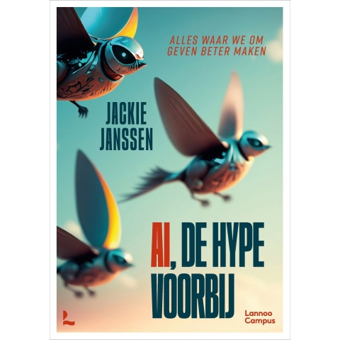 AI, de hype voorbij (Paperback)