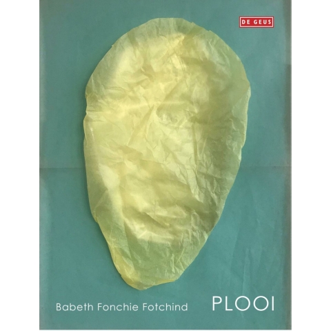 Plooi (Paperback)