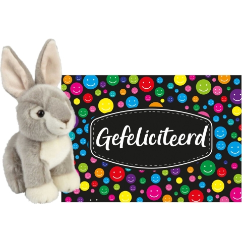 Pluche knuffel cadeau Konijn 18 cm met A5-size Gefeliciteerd wenskaart -