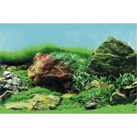 SuperFish Deco Poster Aquascape Plant 120X49cm