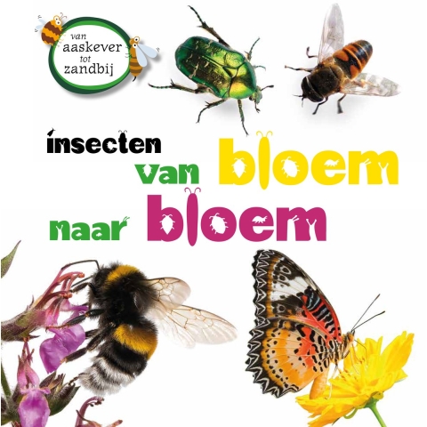 Insecten van bloem tot bloem (Hardback)