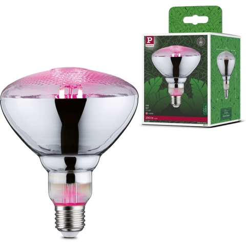 Paulmann LED-plantenlamp groei 230 V E27 6.5 W Barnsteen 1 stuk(s)