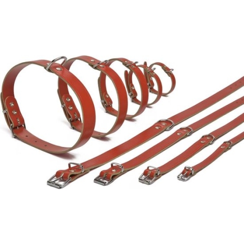 Ipts halsband - Rood 27x10