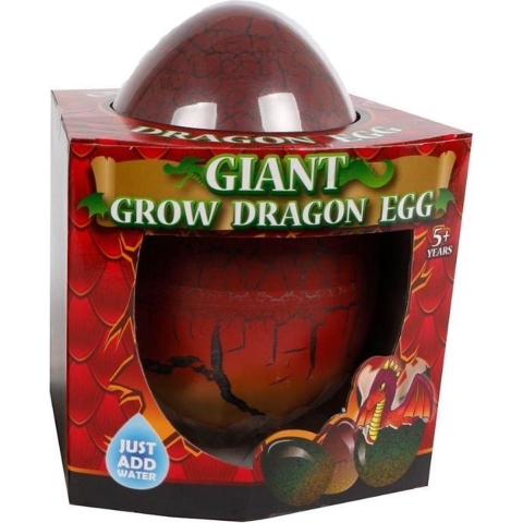 Mega groei-ei draak, 50cm