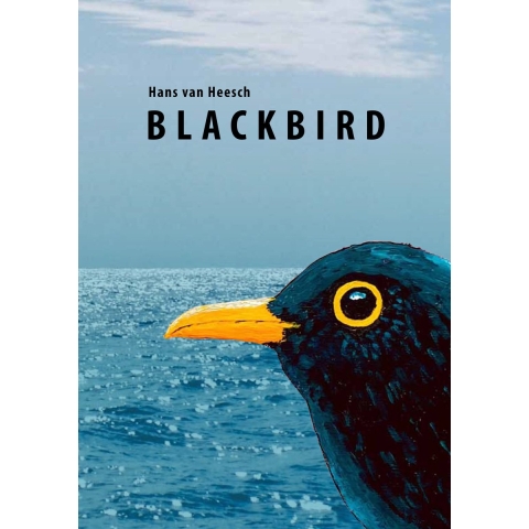Blackbird (Paperback)