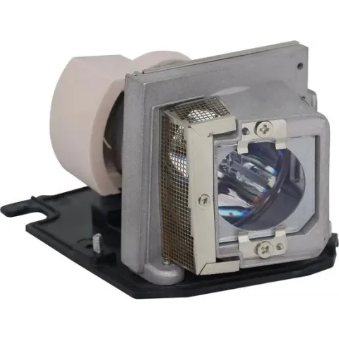 Acer EC.J9900.001 Projector Lamp (bevat originele P-VIP lamp)