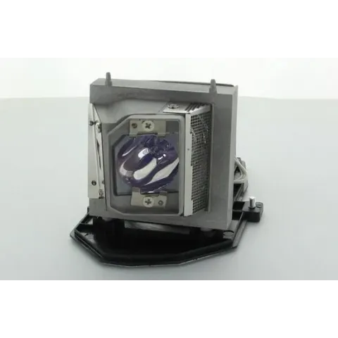 Acer MC.JG811.005 Projector Lamp (bevat originele UHP lamp)