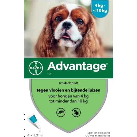 Advantage 100 Hond 4-10 kg - 4 Pipetten à 1,0 ml