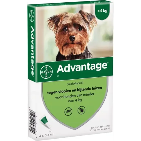Advantage Hond 4 pip - Anti vlooien en luizenmiddel - 0.4 ml 1.5-4 Kg