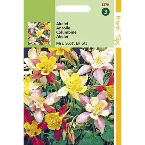 Akelei Bloemzaad - Mrs Scott Elliott