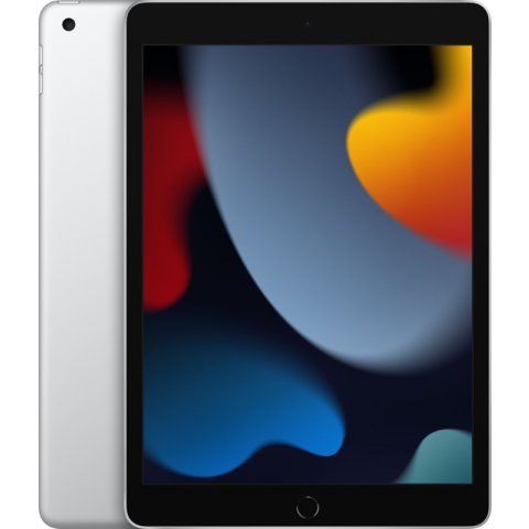 Apple iPad (2021) 10.2 inch 256GB Wifi Zilver