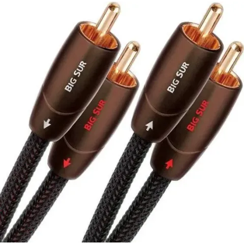 AudioQuest 0.6m Big Sur RCA audio kabel 0,6 m 2 x RCA Zwart