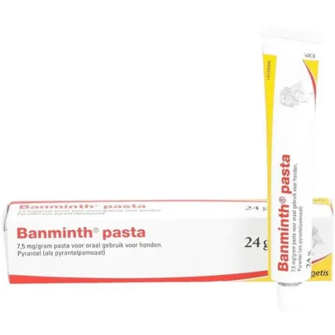 Banminth pasta Hond 24 g