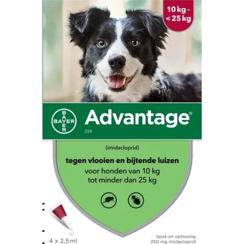 Bayer Advantage 250 Vlooiendruppels Hond 10-25 kg - 4 Pipetten