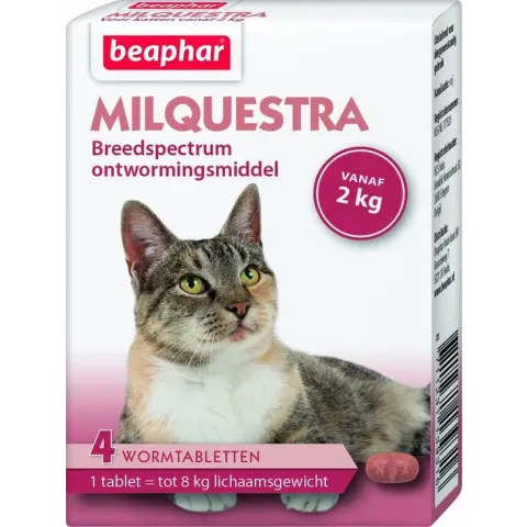 Beaphar Milquestra Kat - 4 TBL