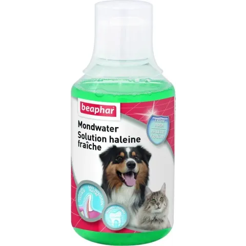 Beaphar Mondwater - 250 ml