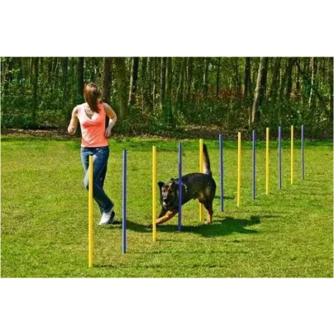 Beeztees Agility Slalom Set 12 Stuks