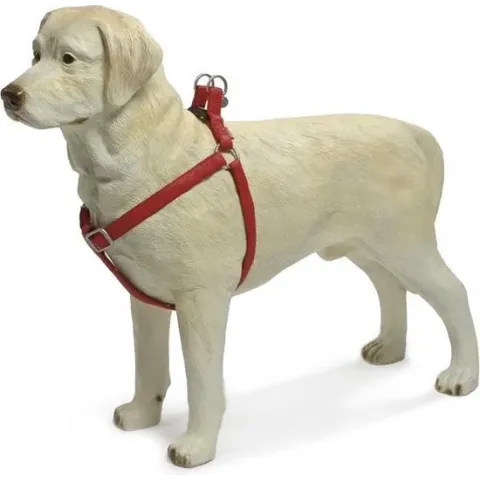 Beeztees - Borsttuig Hond - MacLeather - Rood - M - 50-75 cm