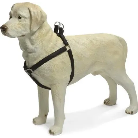Beeztees - Borsttuig Hond - MacLeather - Zwart - M - 50-75 cm