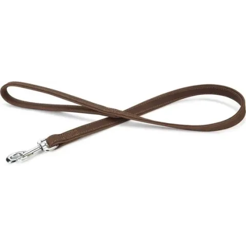 Beeztees Buffalo - Hondenriem - Leer - Bruin - 100cm x 22mm