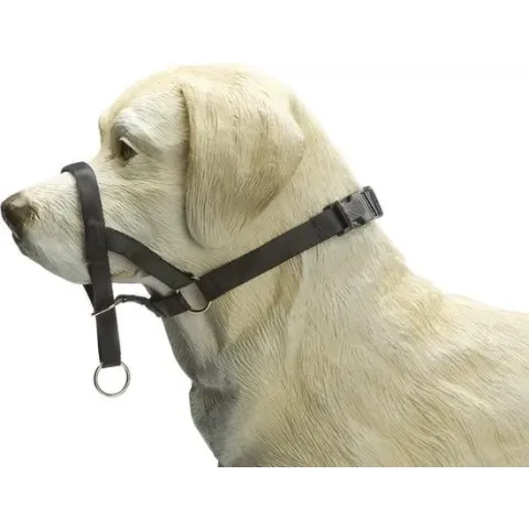 Beeztees Dog Control - Hondenhalsband - Zwart - L