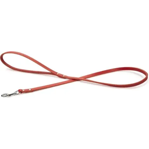 Beeztees Geniet Hondenriem - Rood - 100 cm x 10 mm