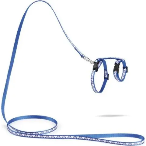 Beeztees Hearts - Kittentuigje - Blauw - 120 cm x 10 mm