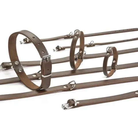 Beeztees - Hondenhalsband - Bruin - 27-33 cm x 12 mm