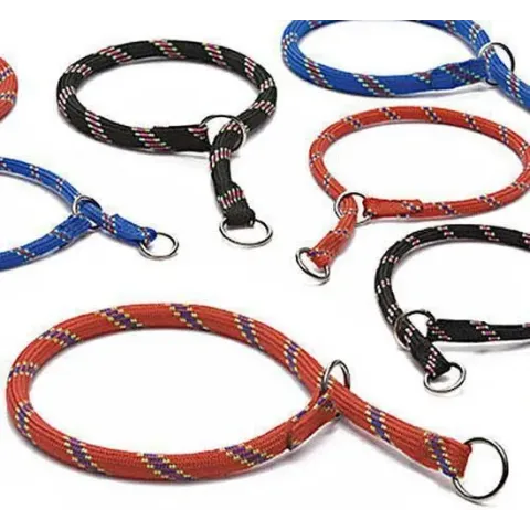 Beeztees - Hondenhalsband - Rond - Zwart - 45 cm x 8 mm