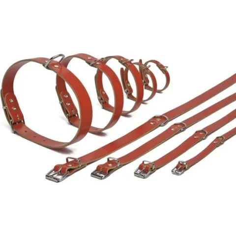 Beeztees - Hondenhalsband - Rood - 35,5-41,5 cm x 18 mm