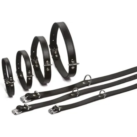 Beeztees - Hondenhalsband - Zwart - 32-37 cm x 16 mm
