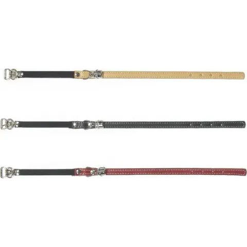 Beeztees - Kattenhalsband - Incl. Bel - Zwart - 23,5-28 cm