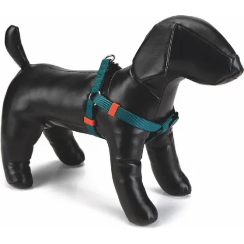 Beeztees nylon borsttuig uni donkergroen 46-75 cm x 20 mm