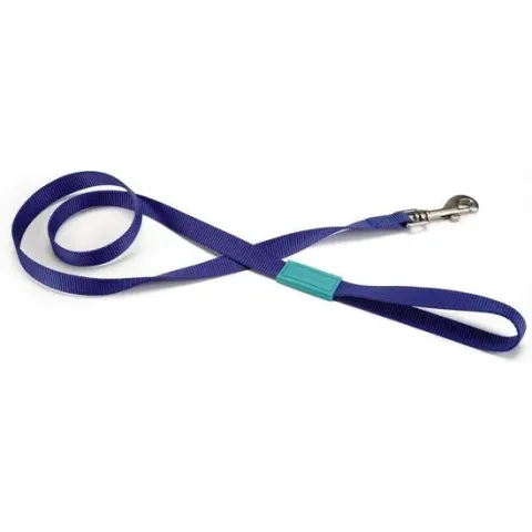 Beeztees Nylon Looplijn Blauw 120 cm x 20 mm