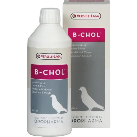 Biochol (B-chol) - 500 ml