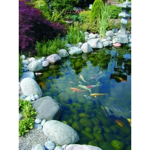 BioPressure II 10000