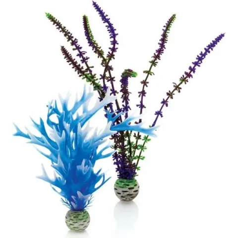 biOrb plantenset blauw & paars - middel