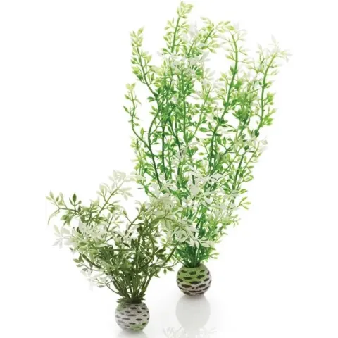 biOrb winterbloem - middel
