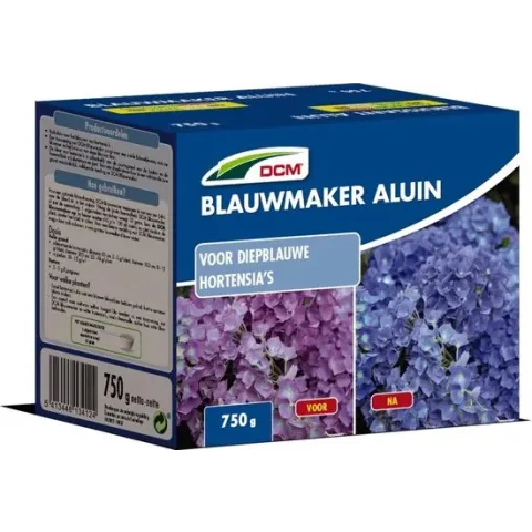 Blauwmaker Hortensia - Aluin