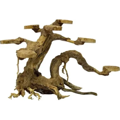Bonsai Planter Small aquaria