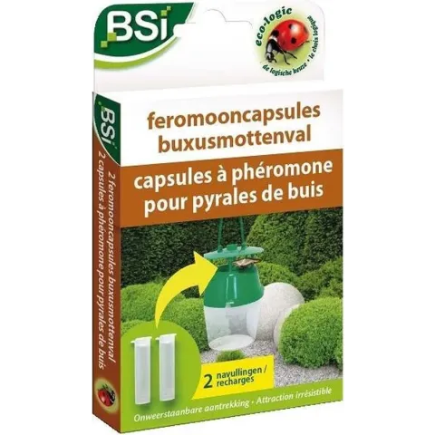 BSI Feromooncapsules Buxusmottenval, 2 stuks