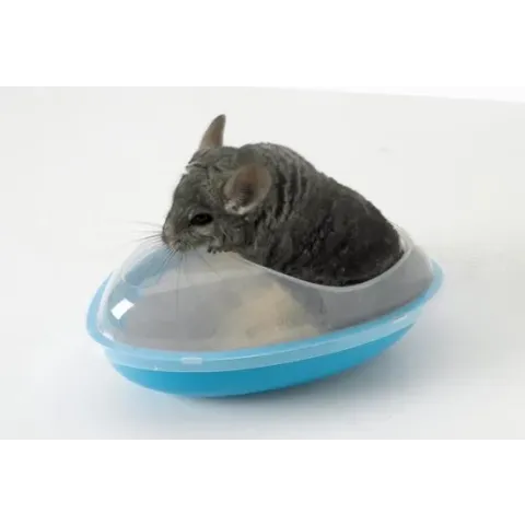 Chinchilla bad Savic