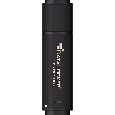 DataLocker Sentry ONE USB flash drive 32 GB USB Type-A 3.2 Gen 1 (3.1 Gen 1) Zwart